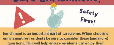Open-Sanctuary-Safe-enrichment-infographic-preview2