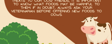 Open Sanctuary Toxic Cows Infographic Preview