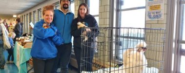 Rooster rescuers at a local urban agricultural event, educating the community on the dumped rooster crisis 2