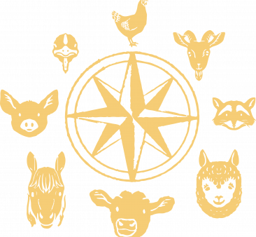 Start A Sanctuary 2 wo Word