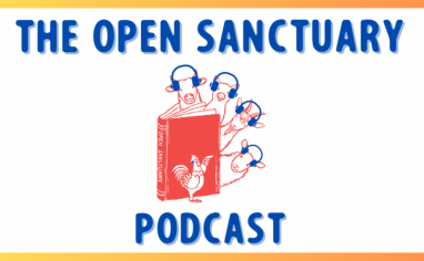 The Open Sanctuary Podcast's Logo