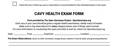 The-Open-Sanctuary-Project-Cavy-Health-Exam-Sample