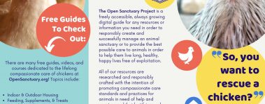 The-Open-Sanctuary-Project-Chicken-Rescue-Brochure-1