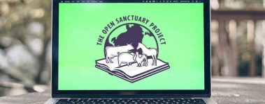 The Open Sanctuary Project Digital Covid-19