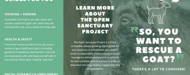 The-Open-Sanctuary-Project-Goat-Rescue-Brochure-Preview-1