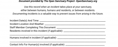 A sample of our sanctuary incident report form!