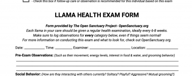 A sample of our llama health exam form!