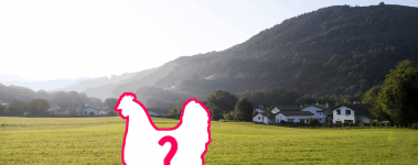 The-Open-Sanctuary-Project-Missing-Loose-Residents