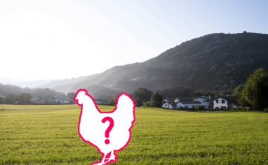 The-Open-Sanctuary-Project-Missing-Loose-Residents