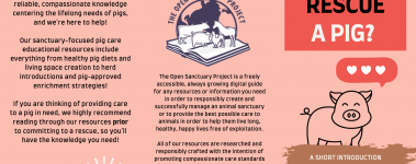 The-Open-Sanctuary-Project-Pig-Rescue-Brochure-Sample-Plage-1