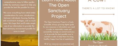 The-Open-Sanctuary-Project-So-You-Want-To-Rescue-A-Cow-Brochure-Page-1-1