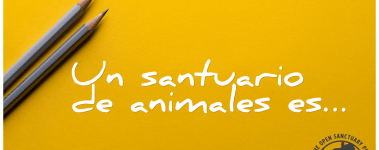 The-Open-Sanctuary-Project-santuario-animales