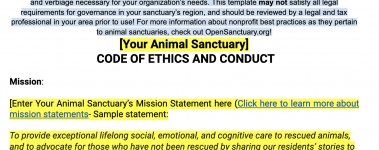 The-Open-Sanctuary-Projects-Code-Of-Ethics-Policy-Template-Sample