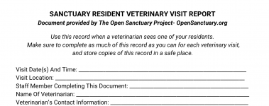 A sample of our veterinary visit report form!
