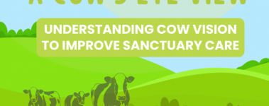 An illustration of a green field with a sun in the sky and cows in a field.