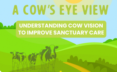 An illustration of a green field with a sun in the sky and cows in a field.