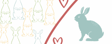 Graphic showing many rabbits on one side and a single rabbit on the other.