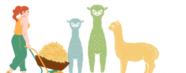 This is a graphic of a person pushing a wheelbarrow full of hay to three alpacas.