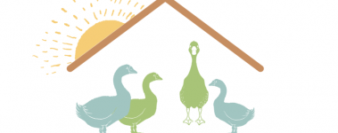 Graphic of a gaggle of geese under a roof.