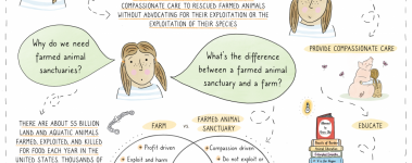 The first handout for sanctuary visitors