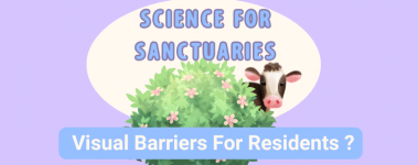 A lilac background has a header that reads: Science For Sanctuaries: Visual Barriers For Residents?". A light and dark green bush with pink flowers has a sweet black and white calf with a cute pink nose.