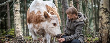 Piia Anttonen is the Director of Tuulispää Animal Sanctuary in Finland, an organization that cares for and provides a home for many different kinds of animals.