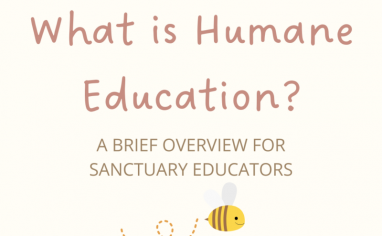 This is a cream colored text box. The text inside the text box is dark pink and says: What is humane education? A Brief overview for sanctuary educators.