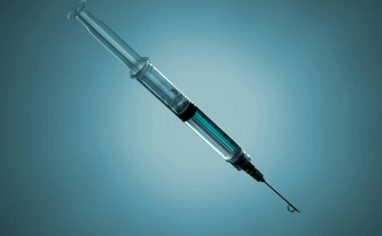 ian-talmacs-WRx5ZxwHh4k-unsplash