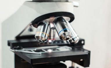 indra-projects-FUw4bGuv9X4-unsplash