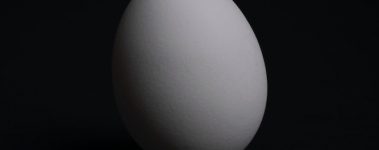white egg with black background