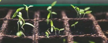 markus-spiske-104913-unsplash2