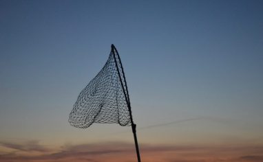 An image of a net raised in the air against a landscape at sunset. The net has medium sized meshing.