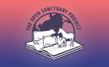 the-open-sanctuary-project-email-banner-logo