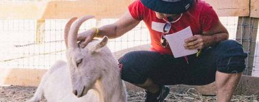The Open Sanctuary Project- Sanctuary Tour Program