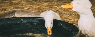 Photo by Troy T on Unsplash